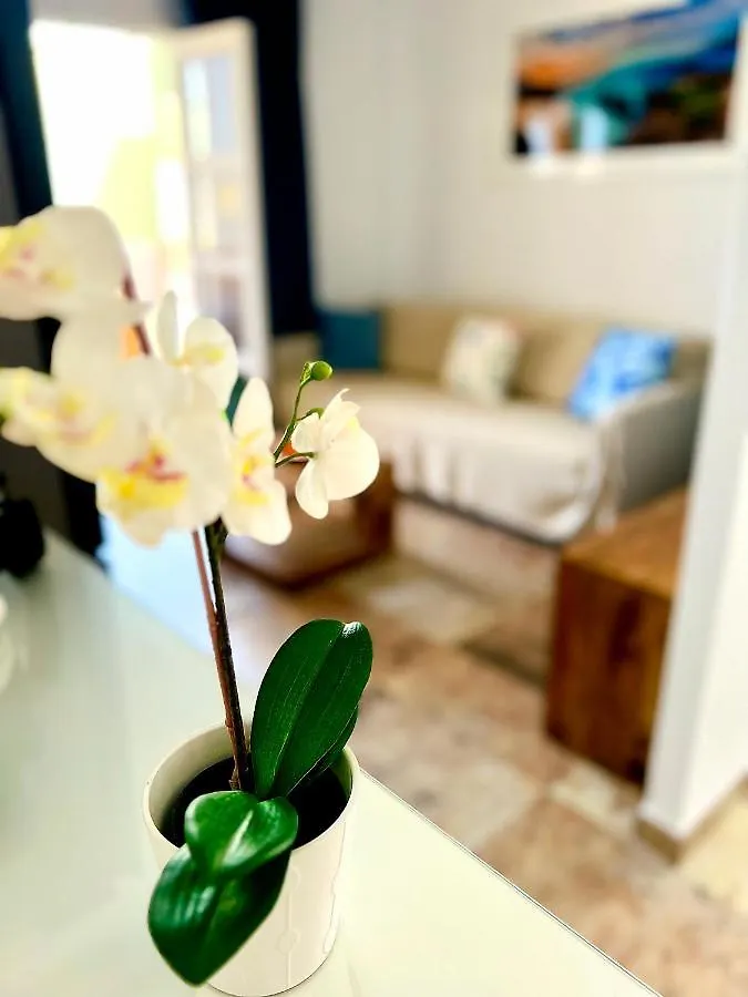 Cosy Studio In Costa Adeje - Orlandito